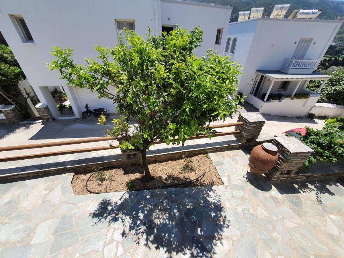 Karaoulanis Apartments Άνδρος Εξωτερικό φωτογραφία