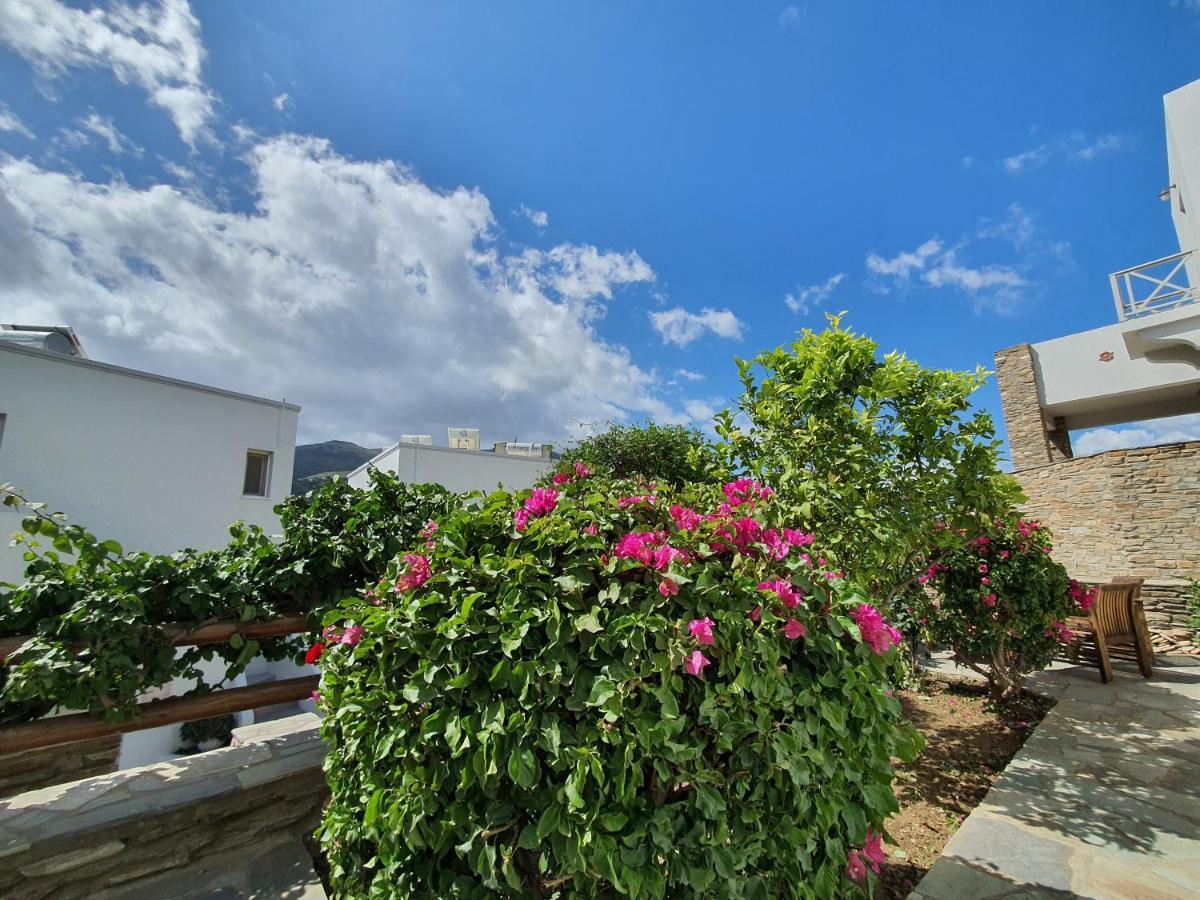 Karaoulanis Apartments Άνδρος Εξωτερικό φωτογραφία